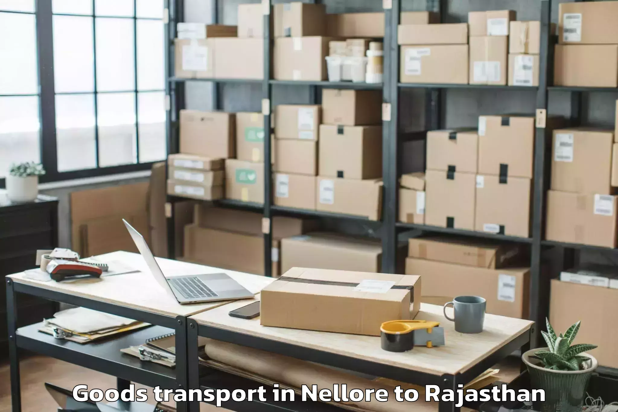 Book Nellore to Sangam University Bhilwara Goods Transport Online